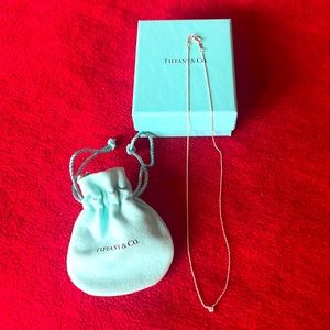 Tiffany and Co. Elsa Peretti Diamonds by the yard silver necklace .05 Carat